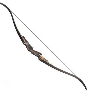 Bow (Hunting)