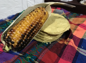 Corn (Ear of Corn)