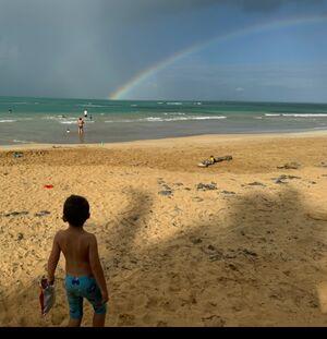 Rainbow