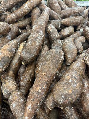Yucca
