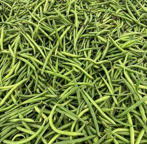 Green Bean
