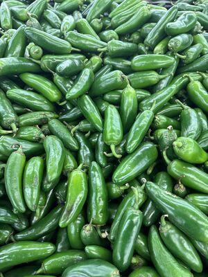 Chili Pepper (Hot Pepper)