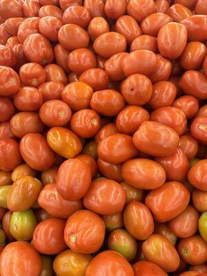 Tomato