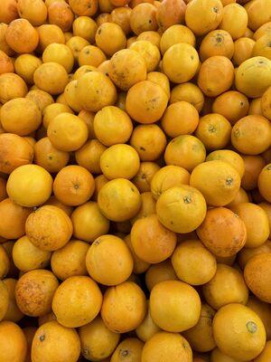 Orange (fruit)