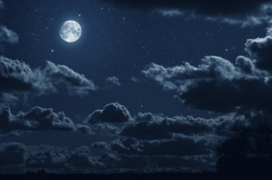 Night