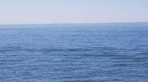 Ocean