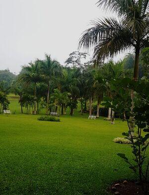 Field
