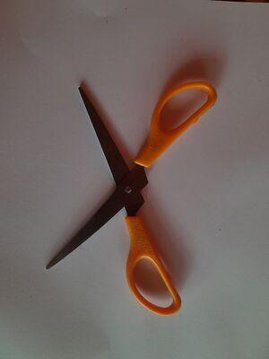 Scissors