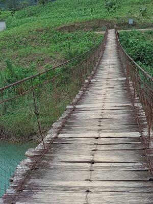 Bridge