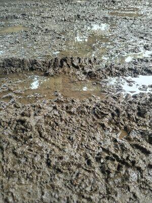 Mud