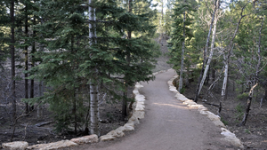 Path