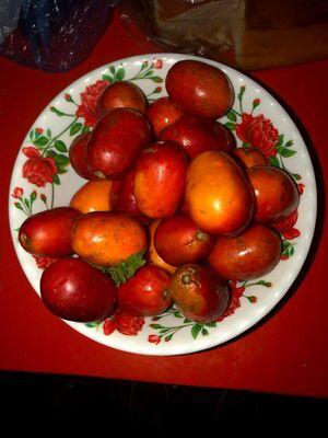 Hog Plum