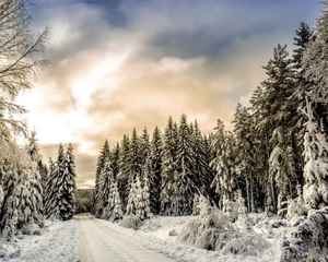 Winter